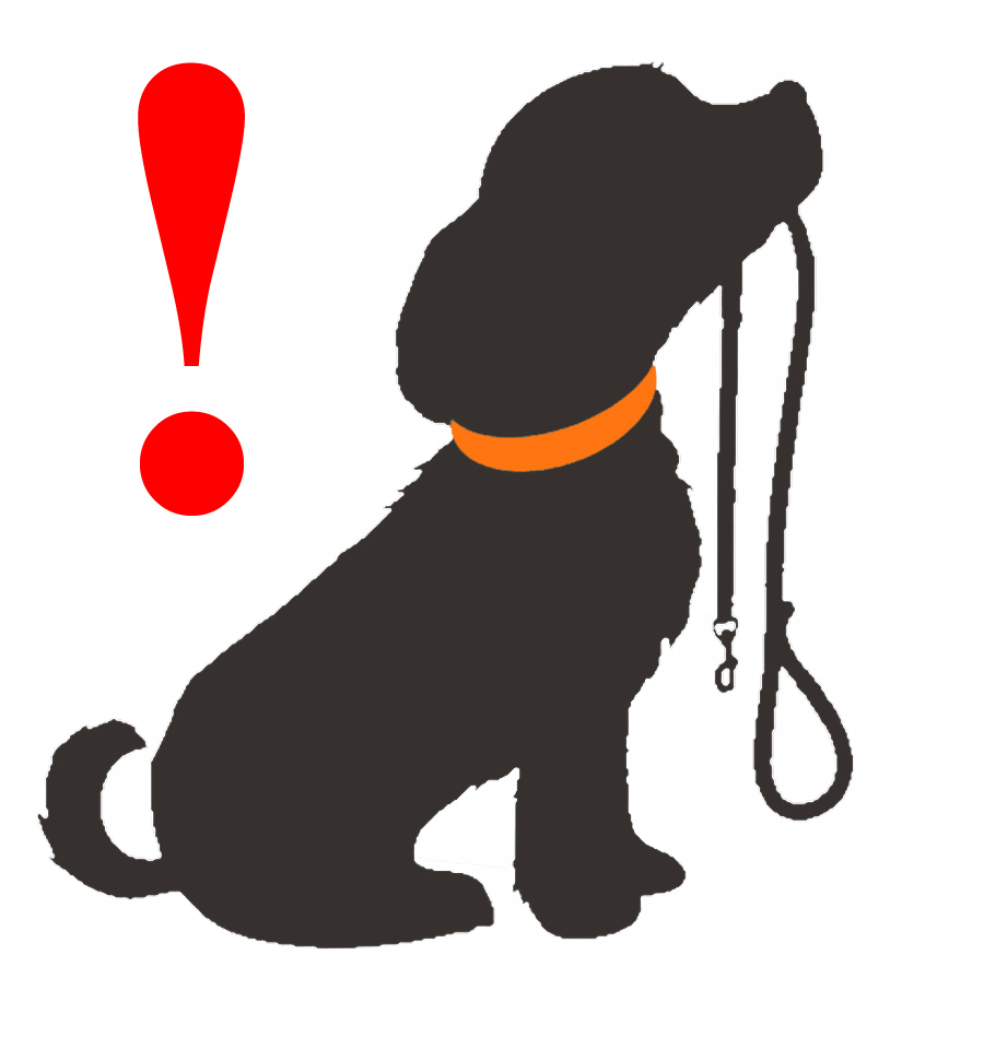 dog2
