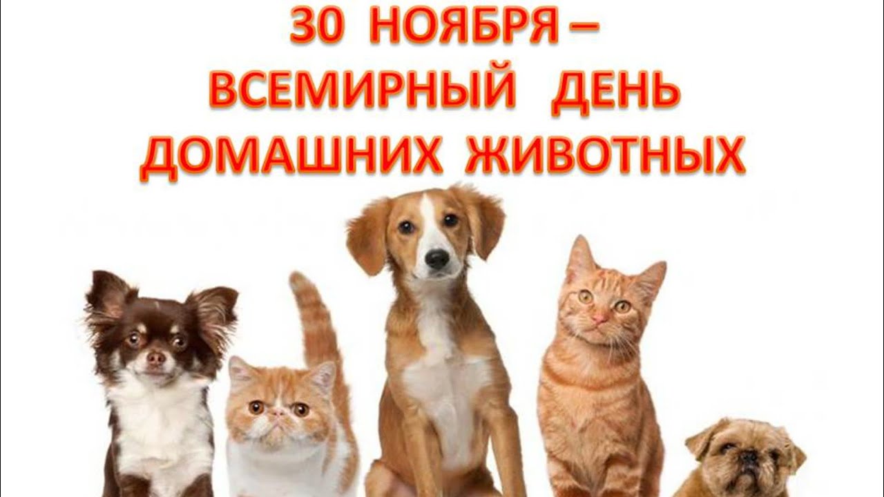 30 nov