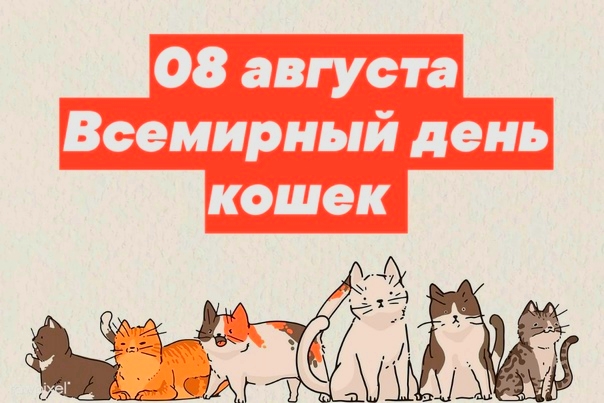 cats