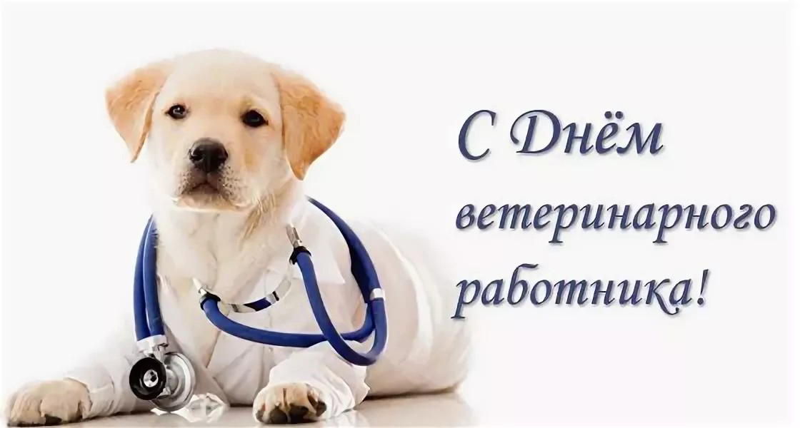 S-dnyem-veterinarnogo-rabotnika
